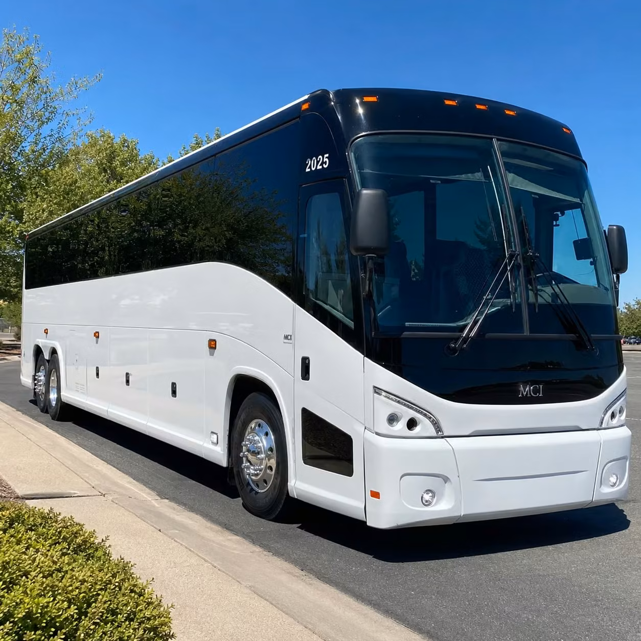 youth group and vacation bible school transportation in san francisco
